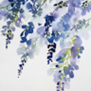 Meet your Posher, Ava